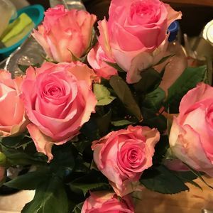 Meet your Posher, Kristi